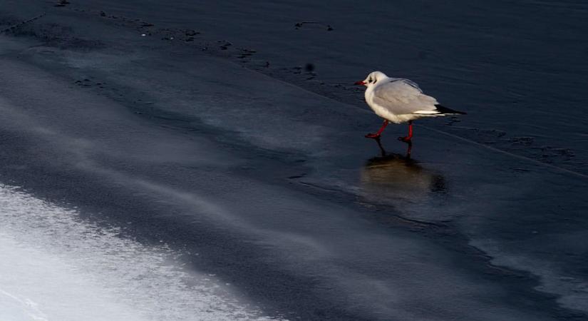 Hétfőn kisüthet a nap, de ez csak átverés, éjjelre kemény fagyokra kell számítani