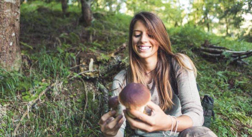 Megtalálták minden élőlény ősét: a gombákkal is rokonok vagyunk