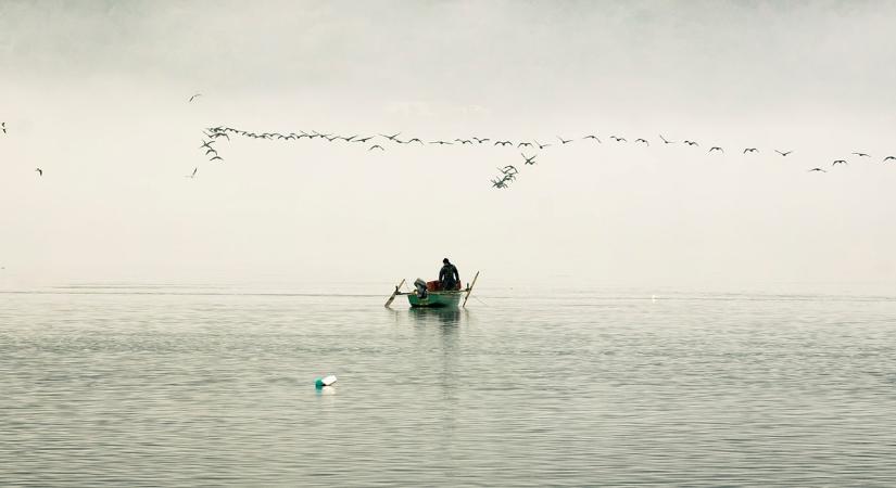 Megdöbbentő: aranysárga színe van, pedig feketének kellene lennie