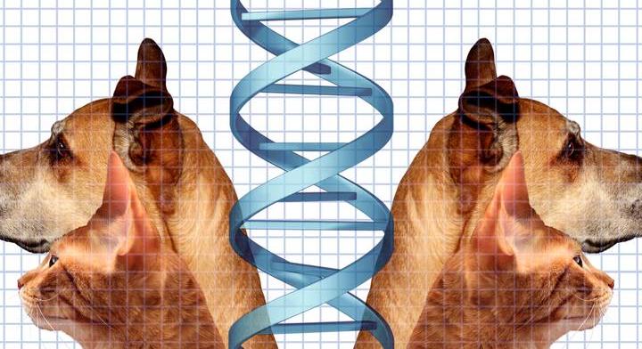 Ha az AI nem lenne elég félelmetes: így keltik életre kedvenceiket az emberek