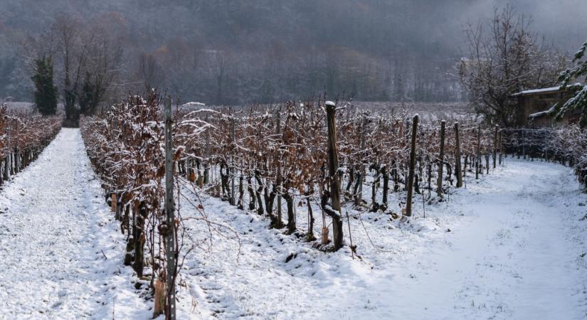 Eddig tartott a tél? Újabb fordulatot vesz az időjárás itthon, jön az enyhülés