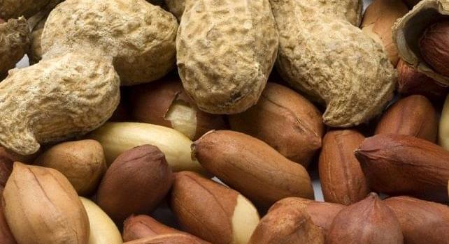 Nem minden „mogyoró” ugyanaz: fontos különbségek derültek ki a bolti kínálatról