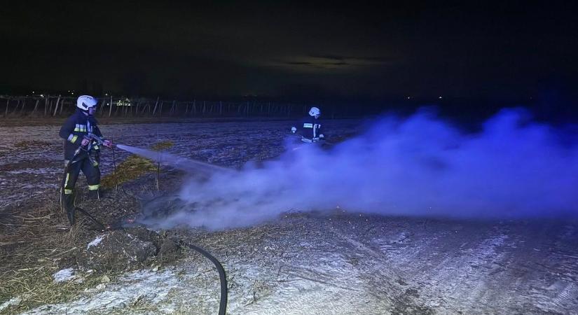 Fű és avar égett Fertőrákoson