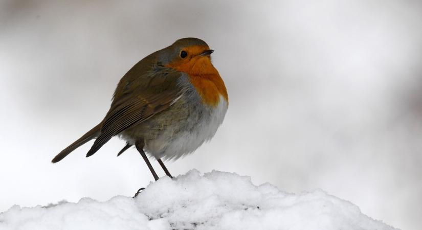 Extrém hideg lesz hajnalban