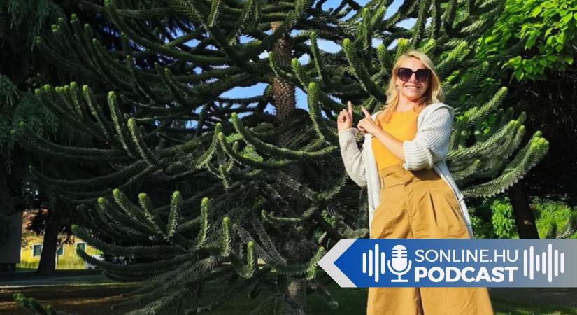 Zöldebb úton jár a fiatal vállalkozó: A környezettudatos kertészkedéstől a balkonkompozíciókig