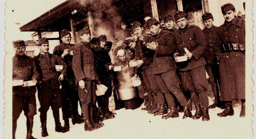 „Talpra esett volt és kemény, ezért élte túl”