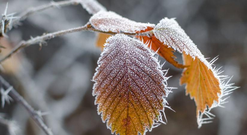 Hétfői időjárás: dermesztő reggel, havas este