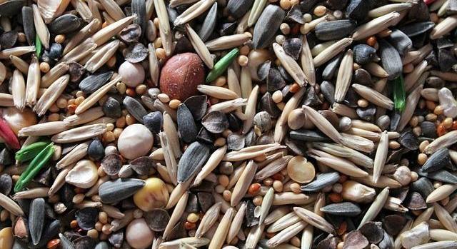 Innovatív magkezelési megoldást fejlesztenek a Szegedi Tudományegyetemen