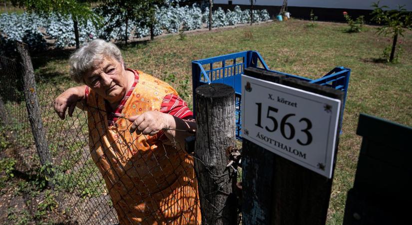 Már járják az országot az ellenőrök, jön a büntetés, ha nincs házszámtábla