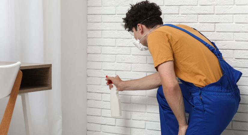 Mutatjuk, hogy lesz penészmentes a lakás