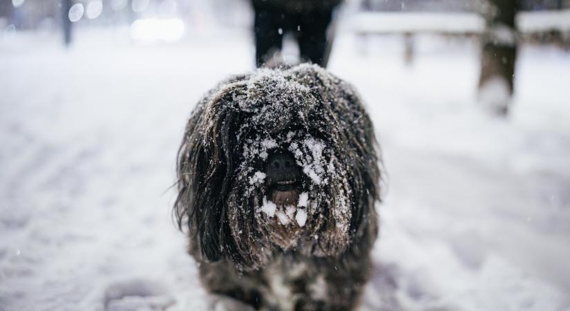 Murakeresztúron mínusz 21,7 fok volt hétfő hajnalban