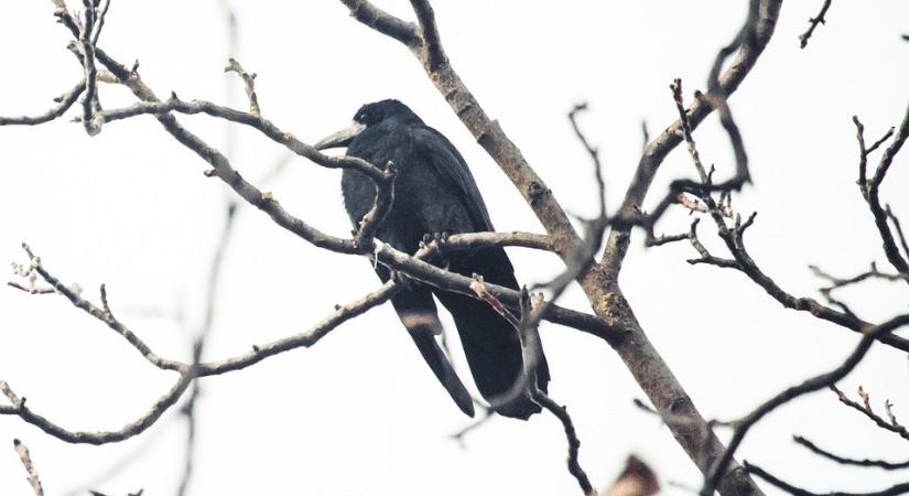 Ipari termelés: 2025 leggyengébb adatai között vannak a novemberi mutatók