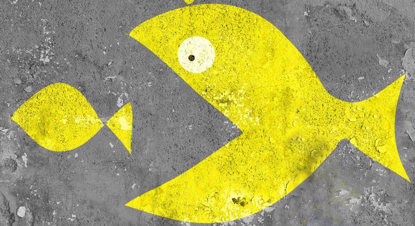 Tarr: kellünk a 4iG-nak, de egyelőre kihagynak bennünket