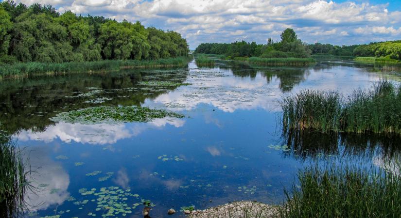 Sokkoló, mikkel van tele a Kis-Balaton: a legtöbb ember nem is tud róla