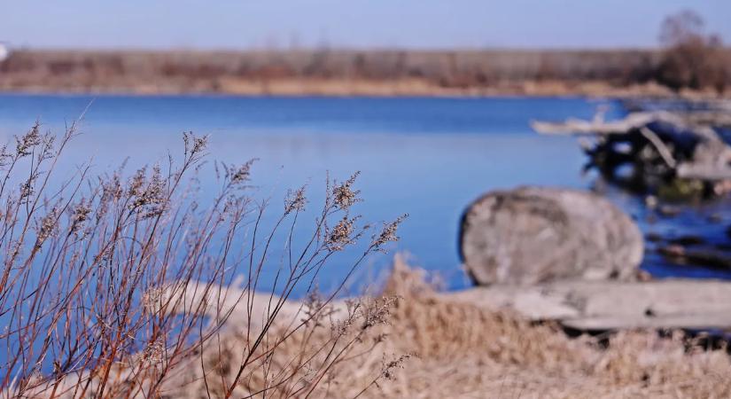 Elbűvölő téli séták a Szigetköz csendes ösvényein – Tökéletes feltöltődés Magyarország legnagyobb szigetén