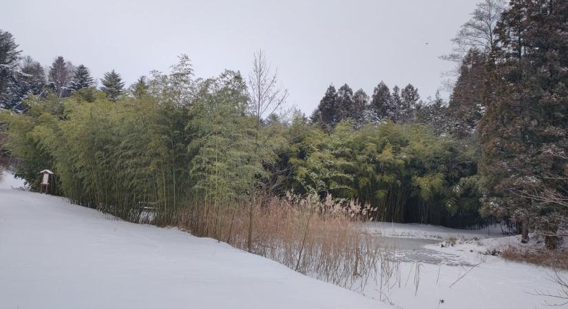 Hóruhát öltött a Jeli Arborétum - fotók
