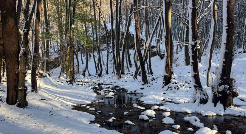 A dermesztő mínuszokban az erdőben töltötte az éjszakát a férfi - Ezért nem tudott telefonálni segítségért