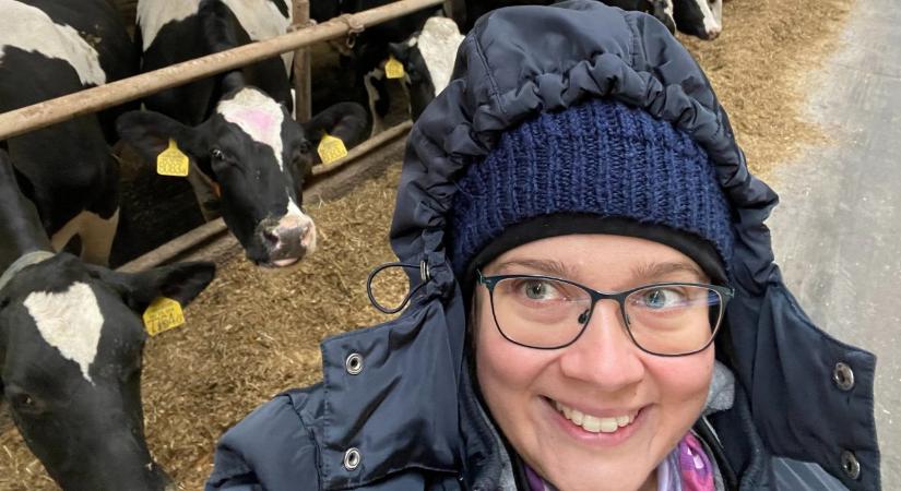 Kérődzők, járványok, tejválság: egy állatorvos őszinte helyzetképe