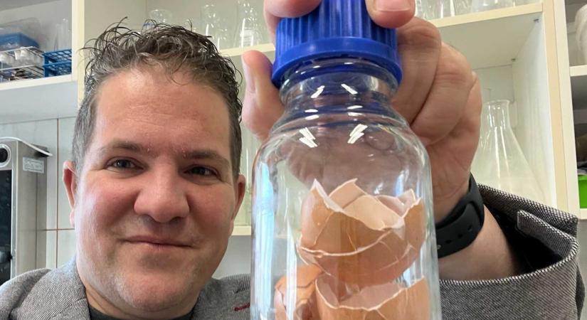 Mire is jó a tojáshéj, amit nagyszüleink még nagyobb becsben tartottak?