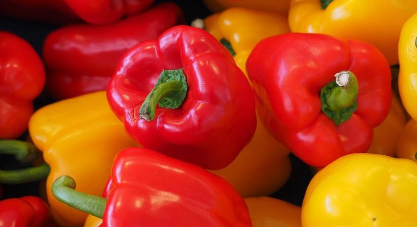 Történelmi csúcs: hihetetlen mennyiségű marokkói paprika érkezett Németországba