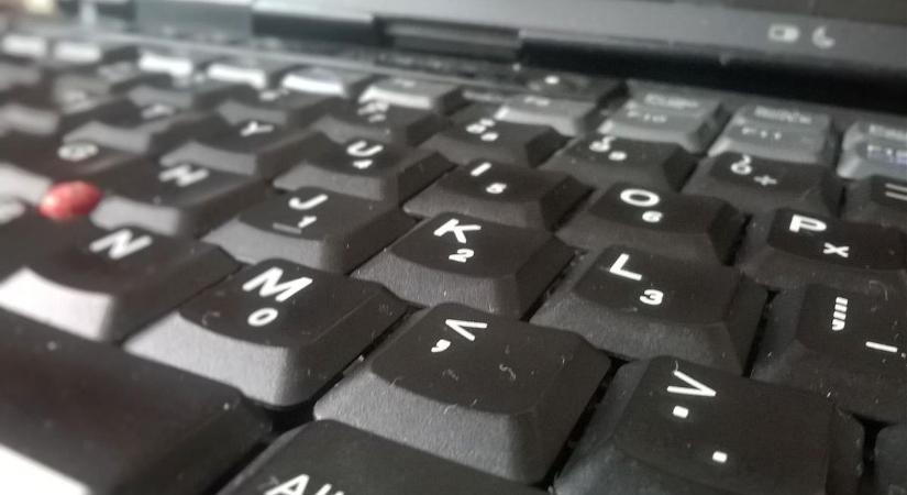 Eladó a selyemmajom.hu domain 10 milliárd forintért