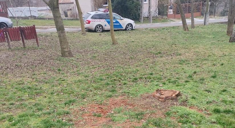 Gyanús hangokra lettek figyelmesek a játszótéren, az egyik életet már nem tudták megmenteni