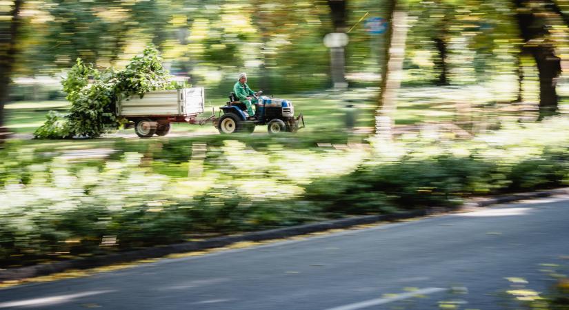 Majd csak a választások után derül ki, kiket érint a fővárosi parkfenntartó biznisz vádirata