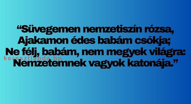 Napi irodalom feladat: Petőfi vagy Arany? Ki írta: „Süvegemen nemzetiszín rózsa”?