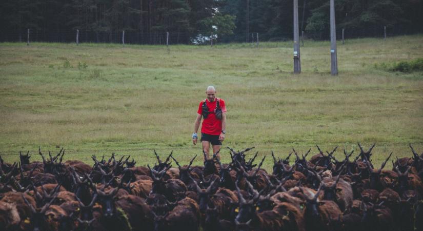 „Erős esztétikai kritikát mondott egy giccses Mária-kegyhelyre – ez nem fért bele”