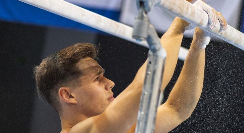 Magyar torna - az építkezés éve lesz az idei