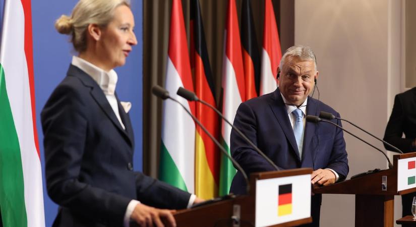 A Fidesz mellett kampányol Netanjahu, Salvini és a fingós vígjátékokból ismert Rob Schneider is