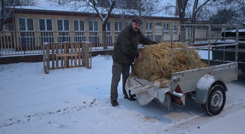 Szelfipont helyett szalmapont – így vigyáznak a kiskedvencekre a jászkunsági önkormányzatok