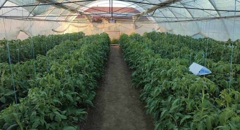 Zárszámadás 2025 - Mit hozhat az idei, 2026-os esztendő? Évértékelő a Pro Agri falugazdászaival