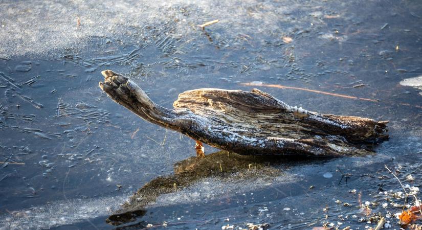 Kardos Gábor: a Balaton jege még nem alkalmas átcsúszásra