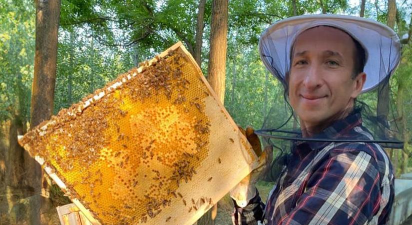 A méhméreg valóban természetes csodaszer, de ne dőljünk be a félrevezető ígéreteknek