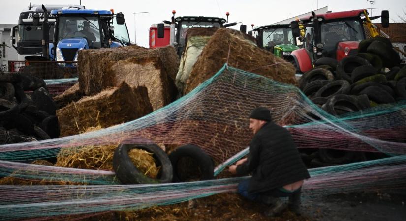 Ezért veszíthetnek a magyar gazdák is a Mercosur-megállapodással