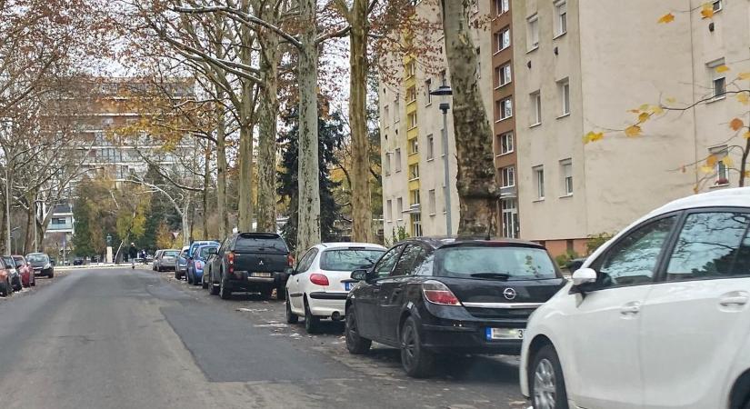 Sziklák, kukák, farönkök – hiába szabálytalan, valóságos barikádokkal tartják távol a nemkívánatos autókat a ház előtt