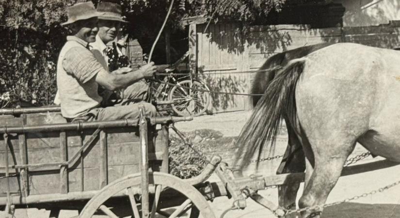 B. Nagy Károly élettörténete