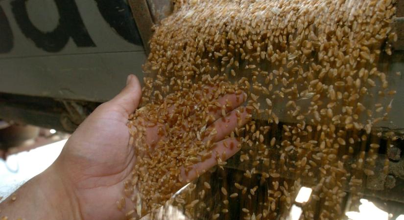 Sikkasztás gyanújával elindult a nyomozás Kósa rokonának csődközelbe került agrárcége ügyében