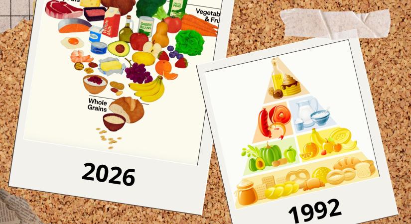Új ételpiramis: egy része jó elgondolás, a többi hajmeresztő? A szakértők szerint igen