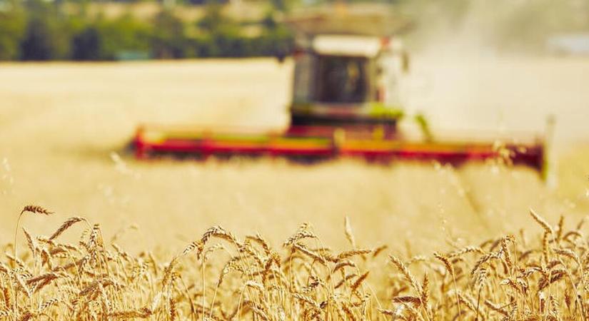 Kiderült, miért nyomoznak Kósa Lajos rokonának cégénél