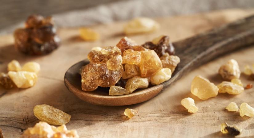 Hamarosan eltűnhet a tömjén a föld színéről