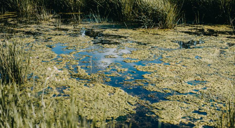 Bármikor ellenőrizhetik a magyarokat: bírságot kaphat, akinél ez nincs rendben
