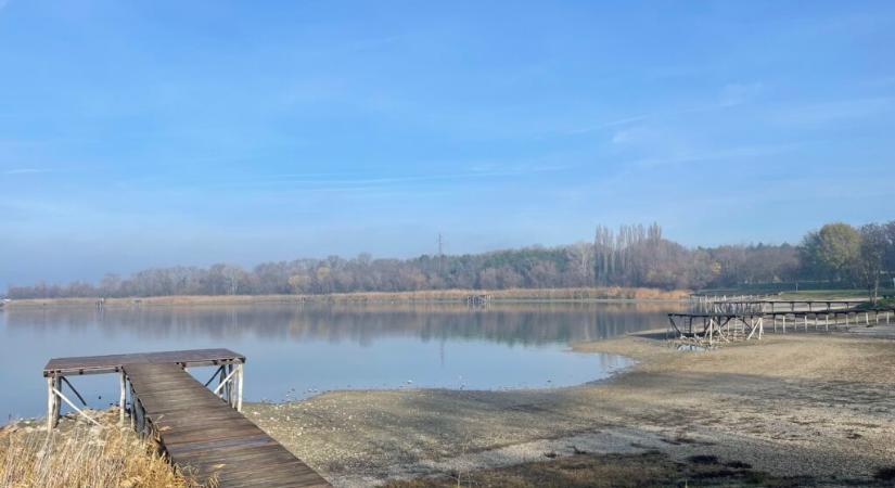 „Kétségbe vagyunk esve”