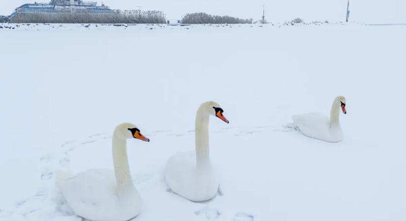 Jégbe zárt csodák: kattints és nézd meg, hogy néznek ki a befagyott tavaink
