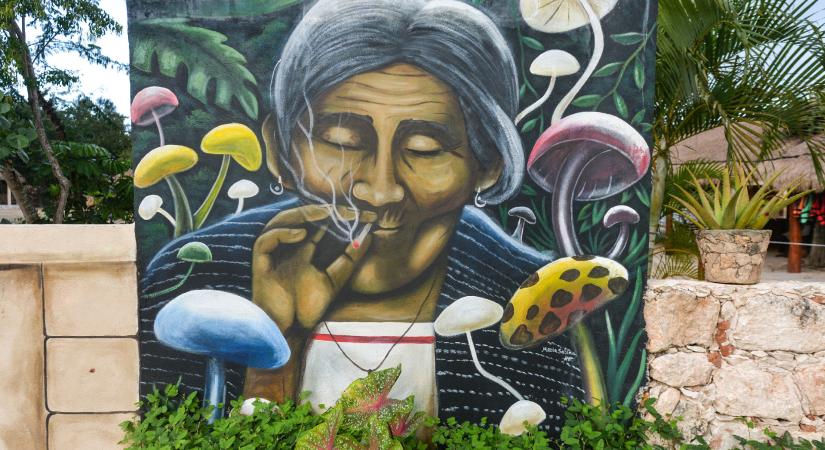 Csehországban törvényes lett a varázsgombák orvosi alkalmazása