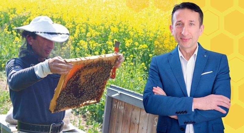 Veszélyes tévhitek terjednek a méhméreg körül