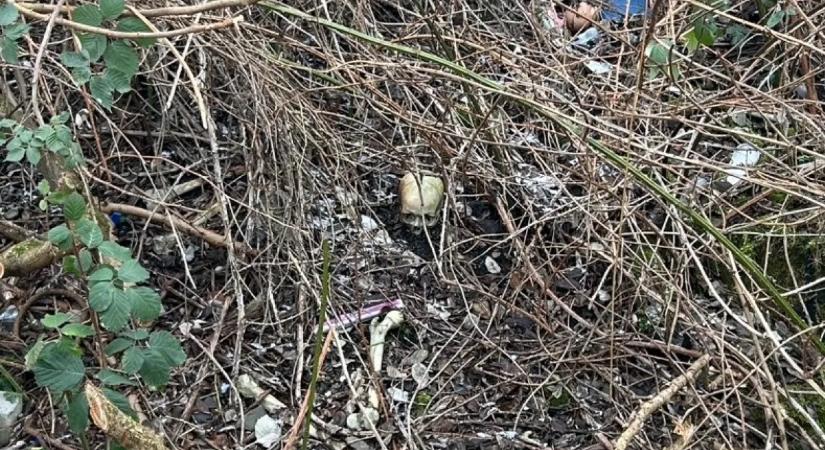 Emberi koponyát talált két férfi egy játszótéren - Közleményt adott ki a rendőrség