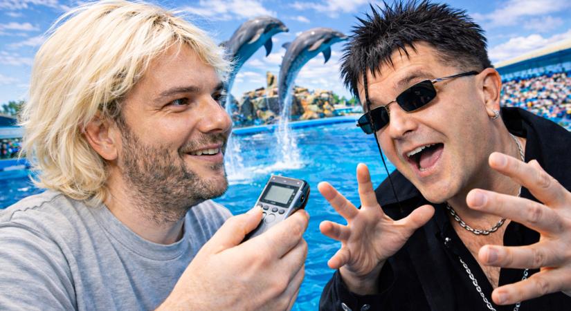 Borízű hang #252, VI. évfolyam, Zúzoros 10.: You are a donkey, Mister Kozso! [rövid verzió]