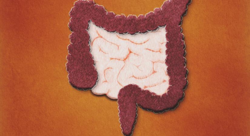 Milyen hatással van az ülés az emésztésre? – Teszteld a tudásod!